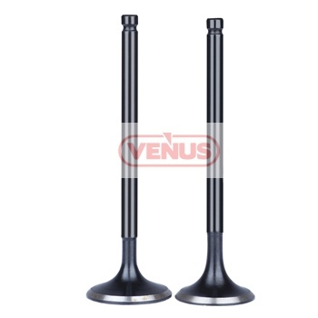 Engine_valve